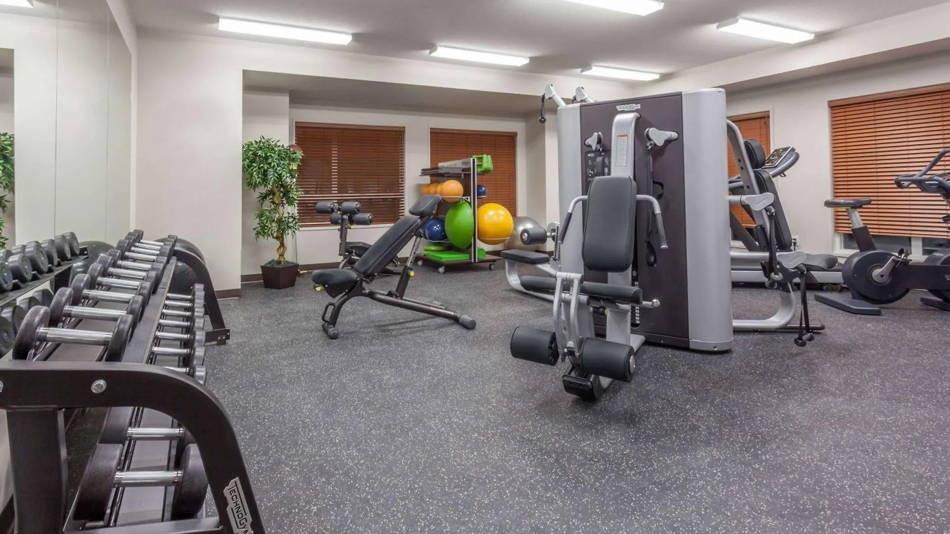Microtel Inn & Suites By Wyndham Oyster Bay Ladysmith Hotel